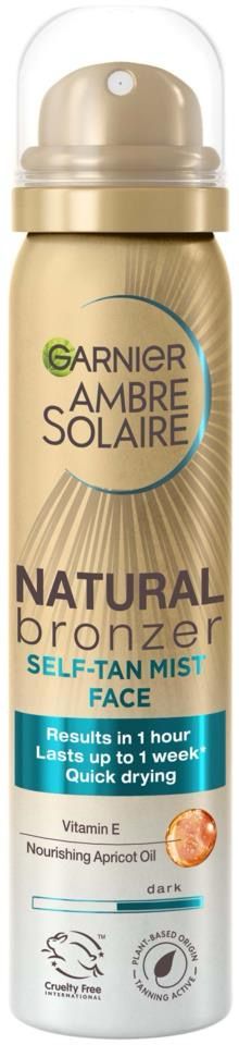 Garnier Ambre Solaire Brume Bronzante Visage – 75 ml. Disponible à Dakar sur Dialy.sn