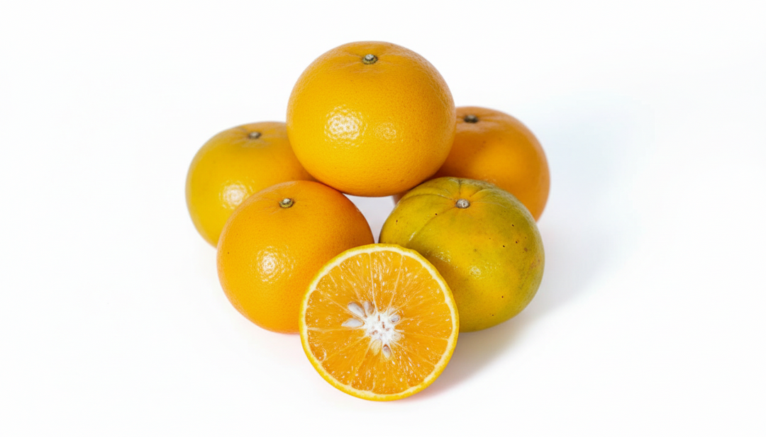 Orange Casamançaise – Juteuse et Sucrée
