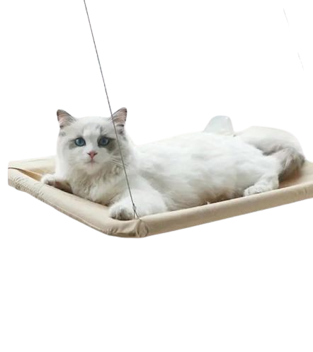 Hamac pour Chat Fixé à la Fenêtre – Lit Confortable & Stable Dialy - Dakar