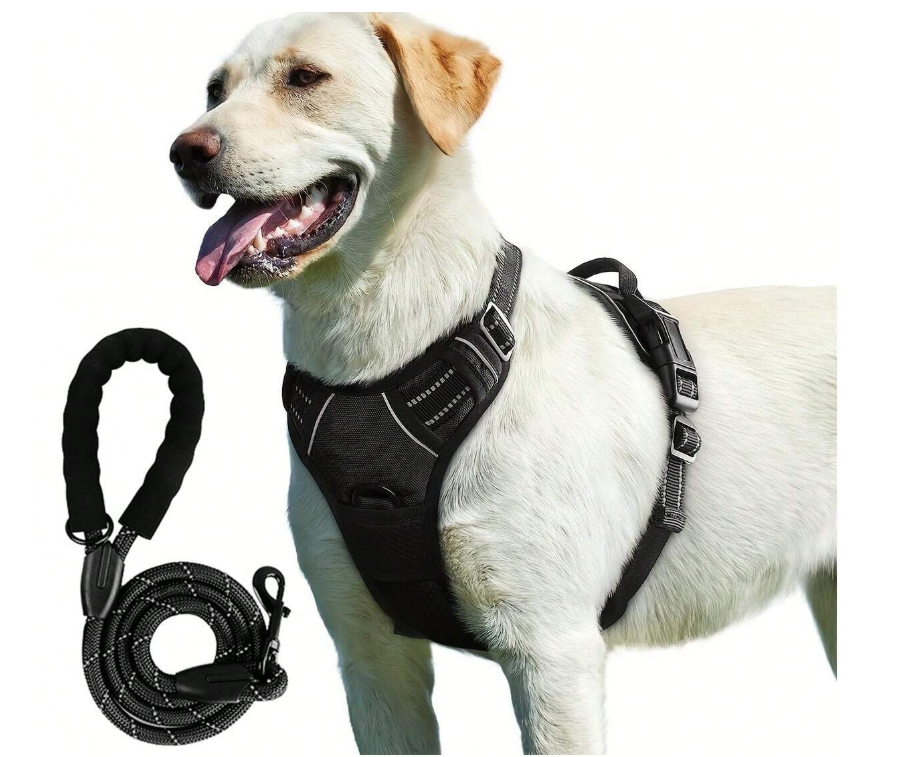Harnais Réfléchissants pour Chien + Laisse 1,5m – Lot de 2, Réglables et Confortables Dialy - Dakar 