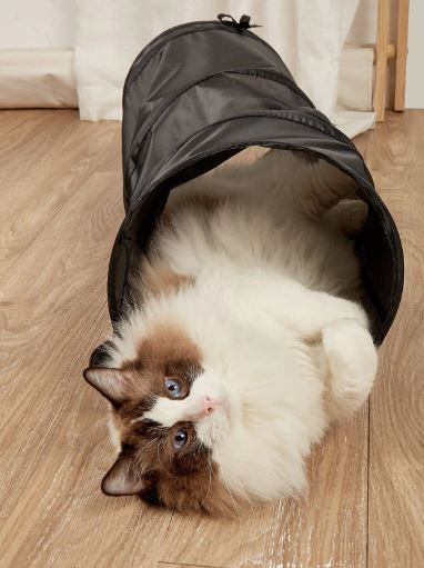 Tunnel pour chat unicolore