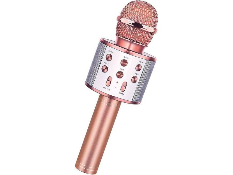 Microphone avec  intégré - karaoké sans fil Bluetooth Dialy - Dakar 
