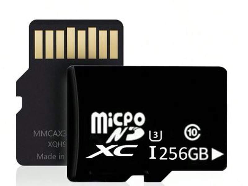 Mini Carte Mémoire MicroSD – 256GB Dialy - Dakar