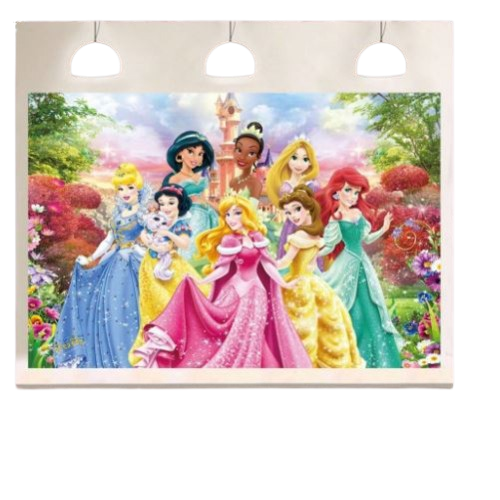 Décoration de fond pour anniversaire - Princesses