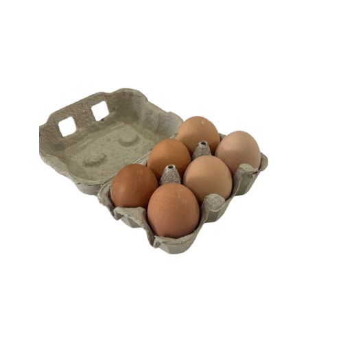 SEDIMA - Oeufs barquette x 6 pcs Dakar - Dialy