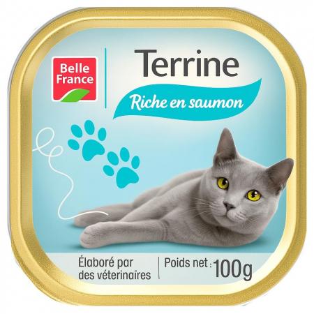 Terrine riche en saumon pour chats 100g dispo à Dakar sur Dialy en 60min à Dakar