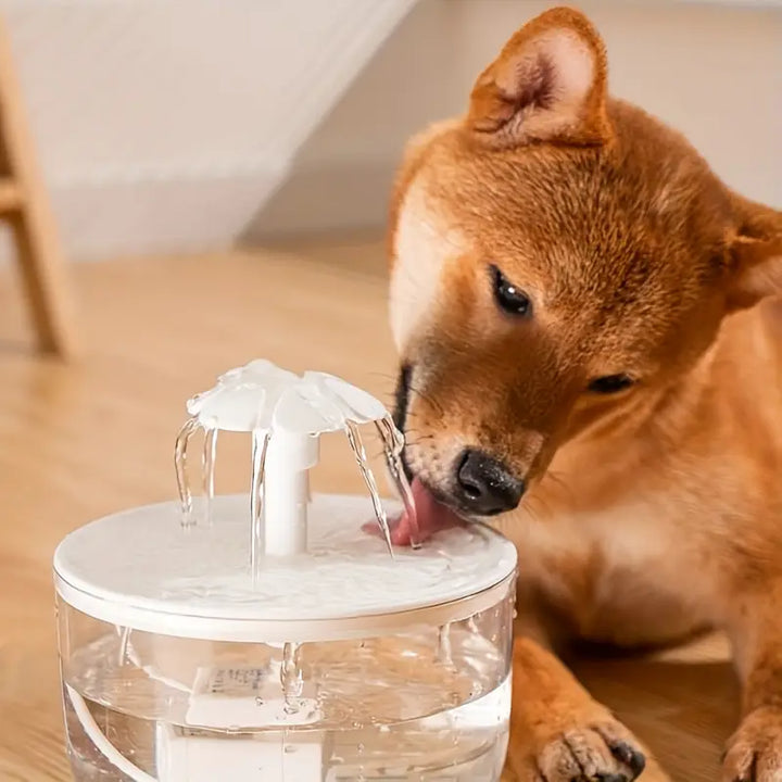 Fontaine à eau automatique pour chats et chiens