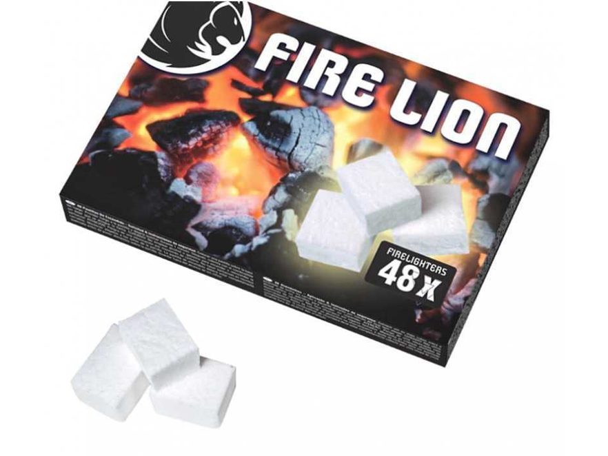 Lion allume feu 48