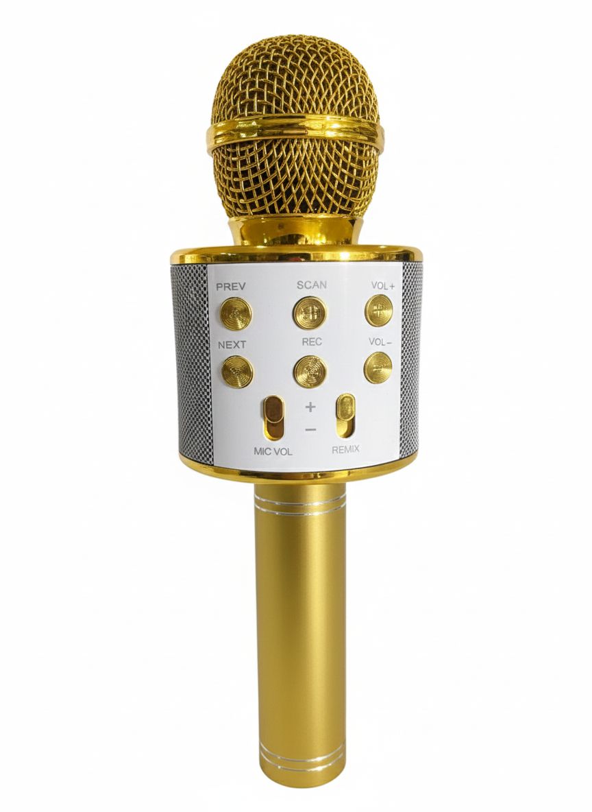 Microphone Bluetooth Karaoké