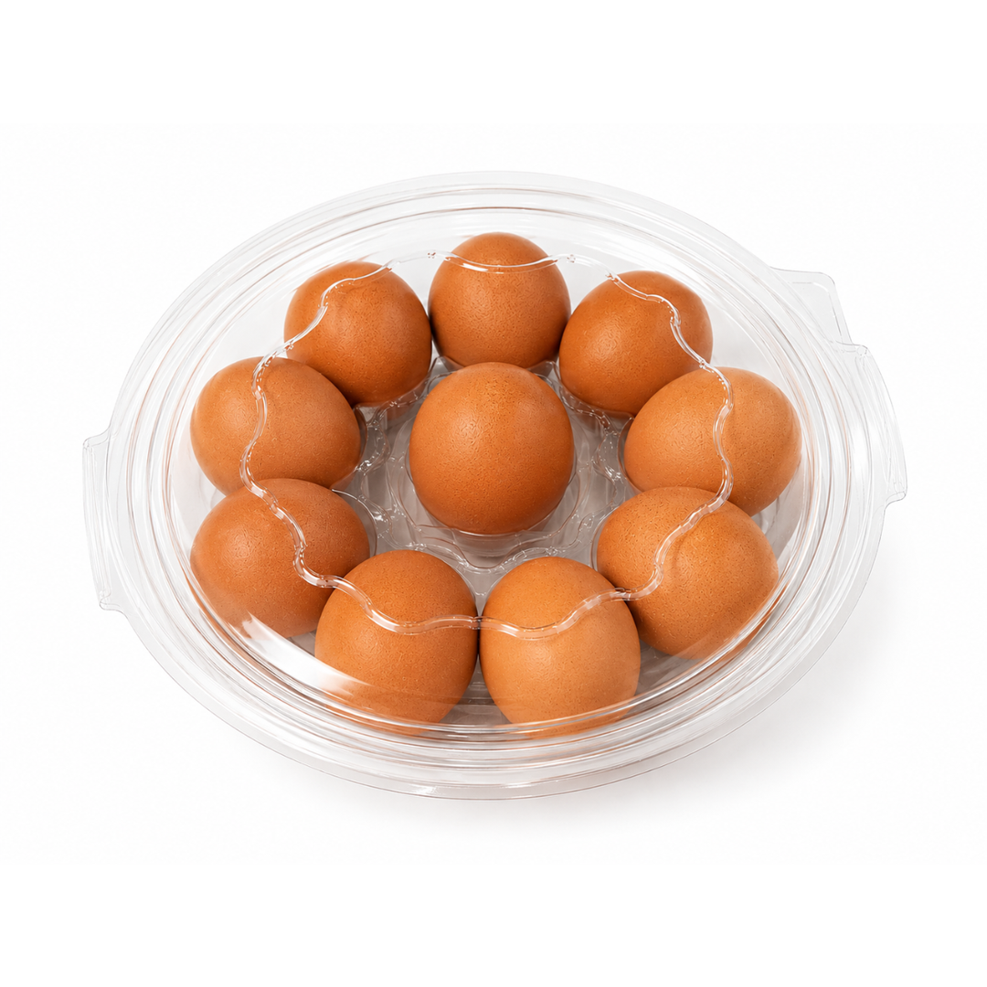 SEDIMA – Œufs Marron – Barquette de 10