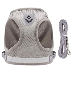 Harnais poitrine et dos pour animaux de compagnie avec laisse, GRIS