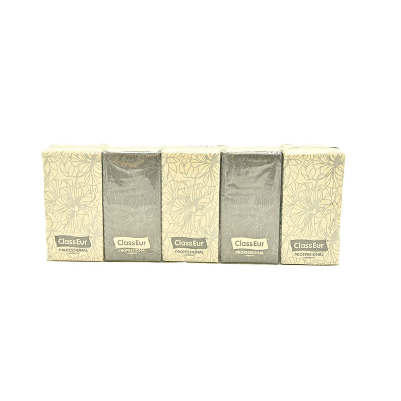 Classeur - Mouchoirs de poche x 10