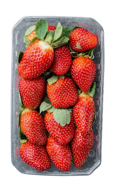Boite de fraises de saison, juteuses et sucrées